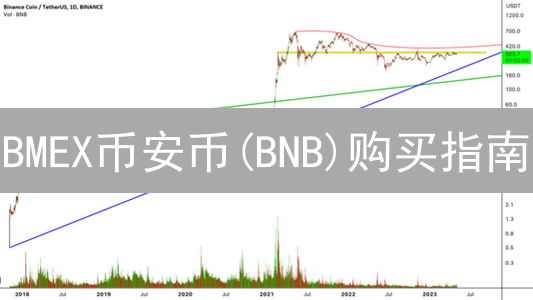BMEX币安币(BNB)购买指南：新手也能轻松上手！别再错过暴富机会！