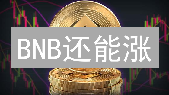BNB还能涨？币安活动背后的财富密码大揭秘！