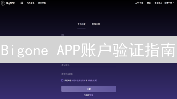 Bigone APP账户验证指南：5步搞定，更安全！
