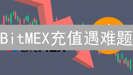 BitMEX充值遇难题？别慌！超全攻略助您轻松解决！