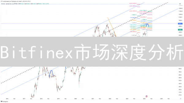 Bitfinex市场深度分析：交易者必知的盈利技巧与风险控制