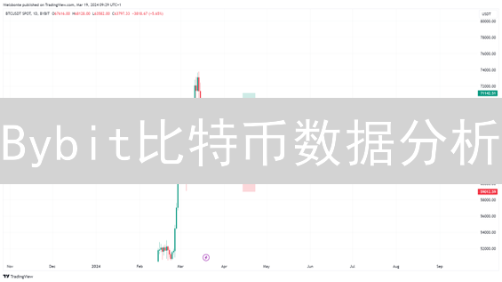 Bybit比特币数据分析：是机会还是陷阱？最新趋势揭秘！