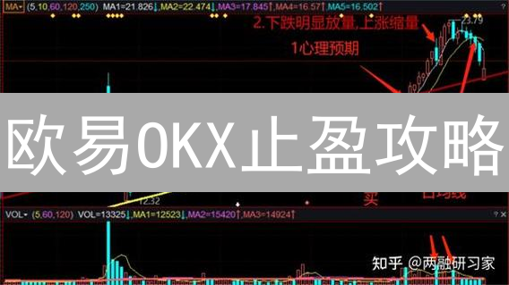 欧易OKX止盈攻略：锁定利润，避免回吐【实战案例+技巧】