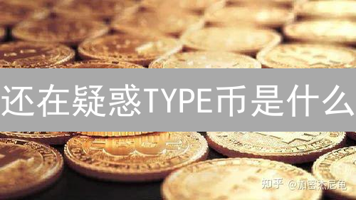 还在疑惑TYPE币是什么？对比分析，看懂加密货币项目！